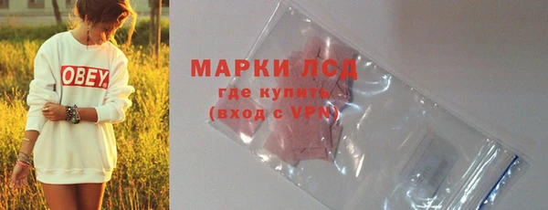 ECSTASY Лагань
