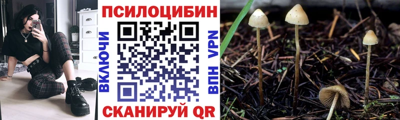 Галлюциногенные грибы прущие грибы  наркотики  MEGA маркетплейс  Магадан 
