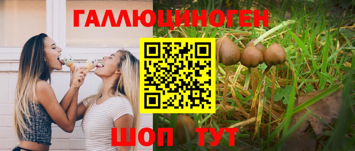Галлюциногенные грибы GOLDEN TEACHER Магадан