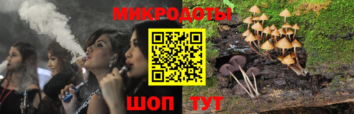 Галлюциногенные грибы Psilocybine cubensis  купить наркоту  Магадан  Вход с VPN 